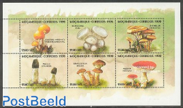 Mushrooms 6v m/s (Galerina Marginat a.o.)
