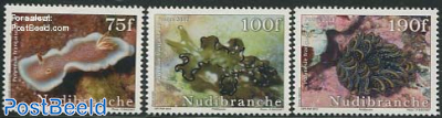 Nudibranches 3v